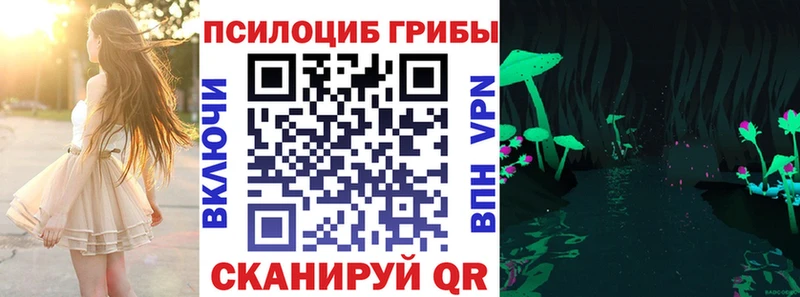 где купить наркоту  Калач  Галлюциногенные грибы Psilocybe 